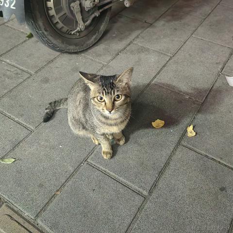 顶碗人1007于2023-11-18 00:30发布的图片