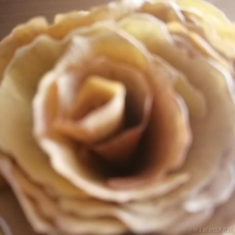 我是乃琳的狗于2022-11-20 12:03发布的图片