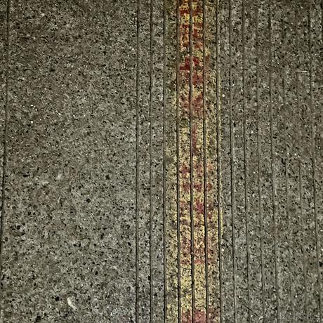 青鸾载我于2023-06-26 13:19发布的图片