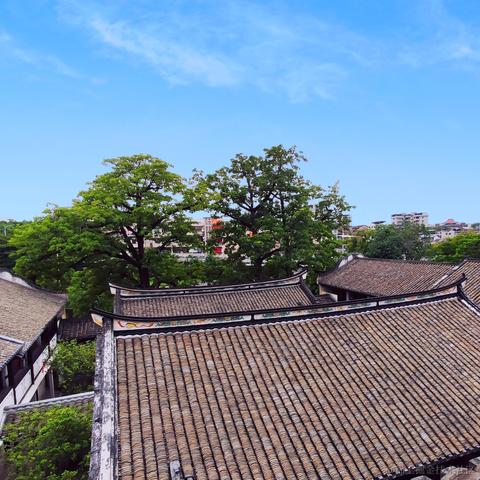 木亦Sam于2020-10-09 11:09发布的图片
