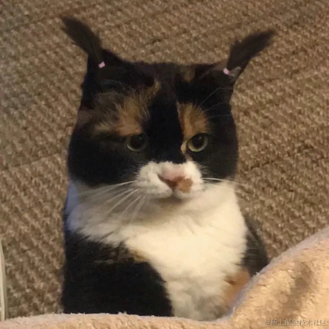 面包泡牛奶于2022-06-01 17:05发布的图片