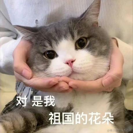 icetm_jim于2023-07-28 13:03发布的图片