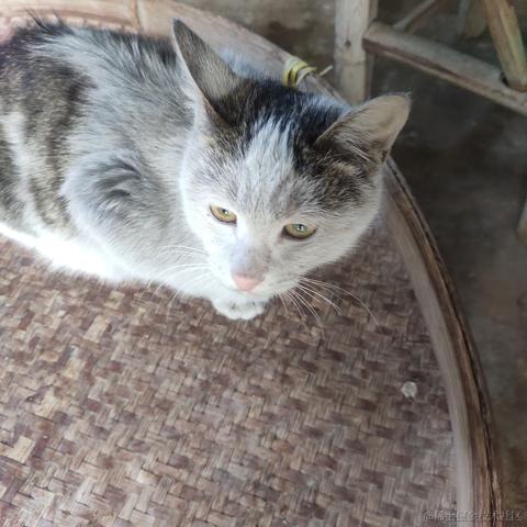 Coca_Cola于2023-01-20 23:56发布的图片