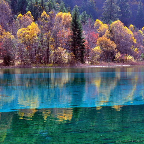 手可摘棉花于2023-01-18 12:30发布的图片