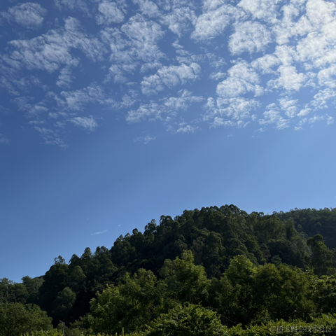 神奇的程序员于2021-11-27 14:14发布的图片