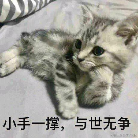 俄里翁于2021-07-29 16:59发布的图片