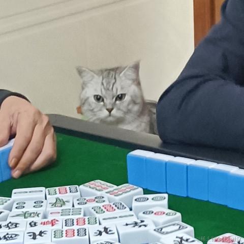 GKFTech于2022-02-17 10:56发布的图片