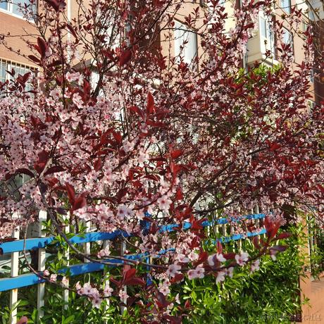 蒸虾头于2023-06-30 11:30发布的图片