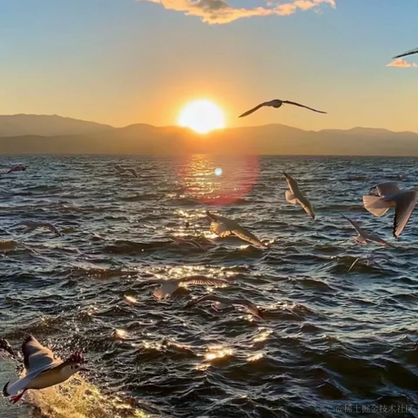 纸鸢纸年于2022-11-29 17:43发布的图片