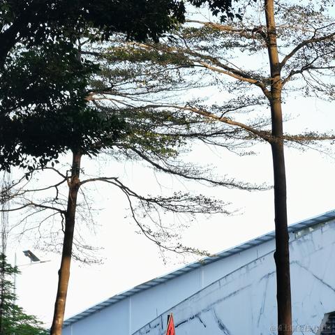 Yj家的孺子牛于2022-10-11 23:31发布的图片