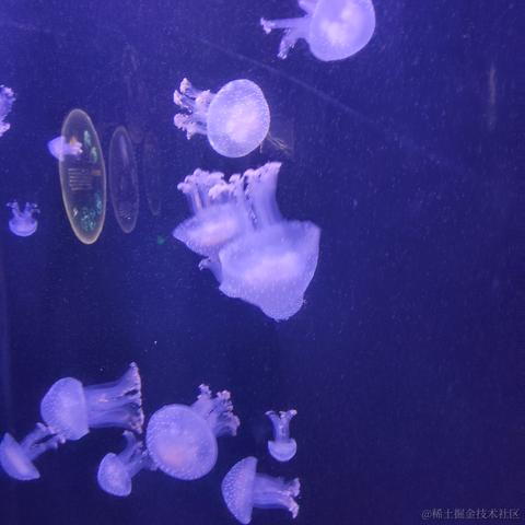 陀螺星于2022-11-11 08:52发布的图片