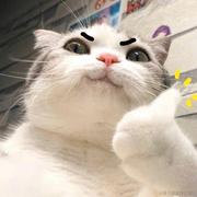 Erase的个人资料头像