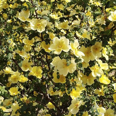 丹舟于2023-05-01 17:32发布的图片