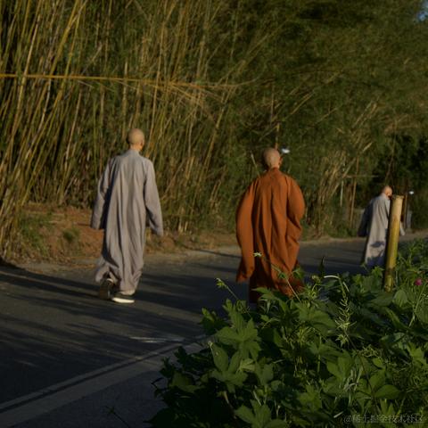 司吧啦西于2024-06-18 13:24发布的图片