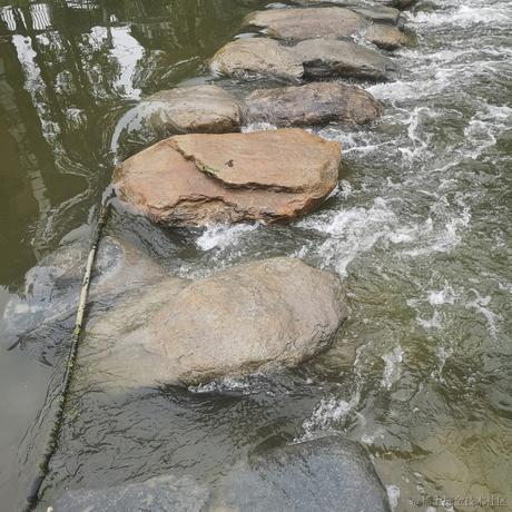 可爱小晚比于2022-11-23 07:52发布的图片