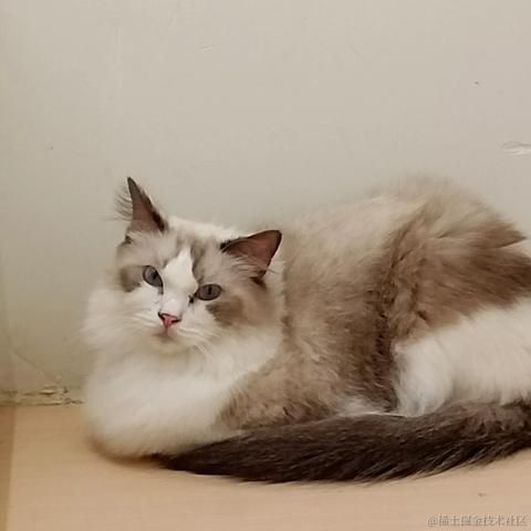 心想事成717于2023-06-25 14:24发布的图片