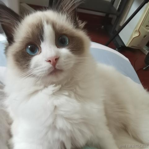 烤肉电线杆于2022-12-13 21:01发布的图片