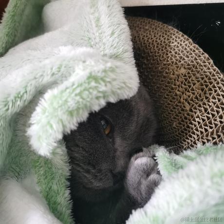 用户2365517671447于2022-11-17 01:41发布的图片