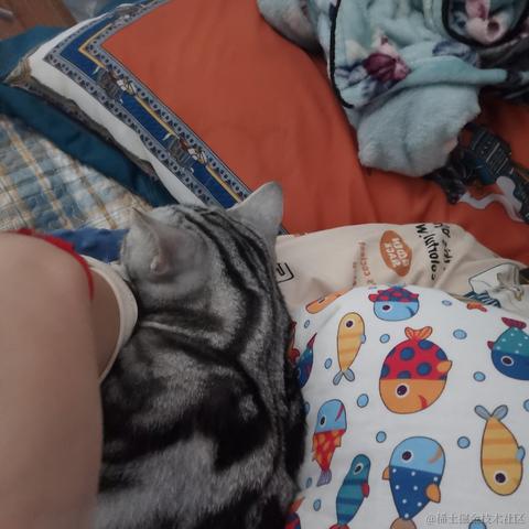 一只辣条于2022-10-11 13:16发布的图片