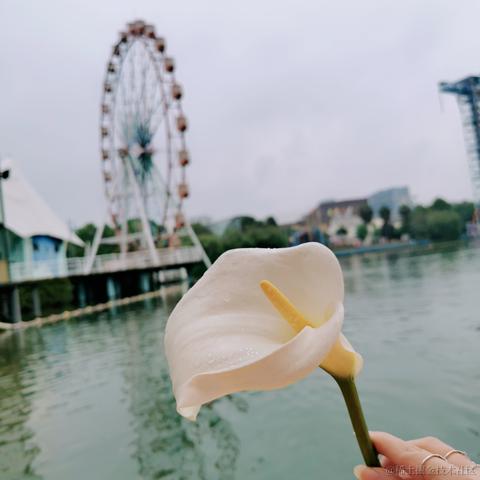 已注销于2021-04-12 12:44发布的图片