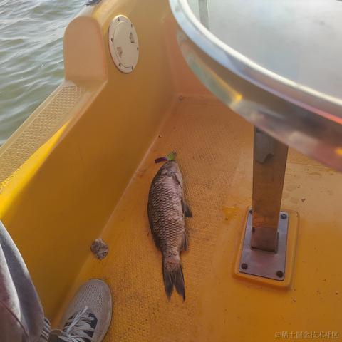 郢九于2023-05-01 22:08发布的图片