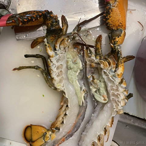 从热河到定西于2021-11-22 10:29发布的图片