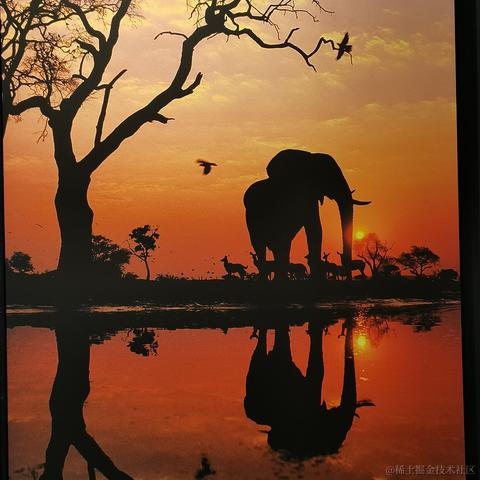 阿奎咯于2023-04-14 22:46发布的图片