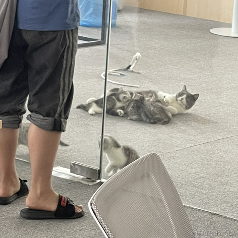 晚比大魔王于2022-11-28 09:03发布的图片