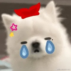 奇迹是九色的于2022-11-18 14:56发布的图片