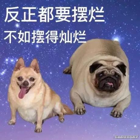 YMing于2022-08-08 10:24发布的图片