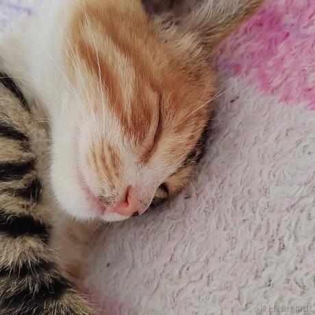 薄岁于2023-07-03 13:37发布的图片