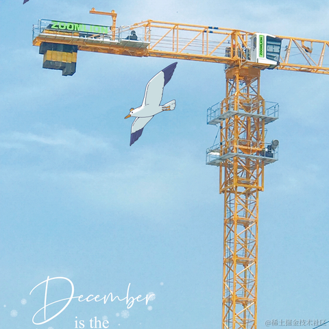 红毛丹于2021-08-03 18:14发布的图片