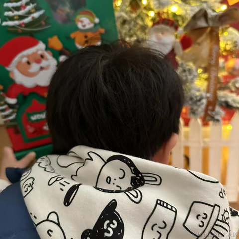 单翼圣天使于2022-12-25 11:44发布的图片