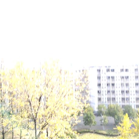 夏韭菜于2022-11-19 14:14发布的图片