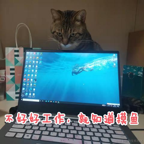 莫挨老子于2022-09-01 09:58发布的图片
