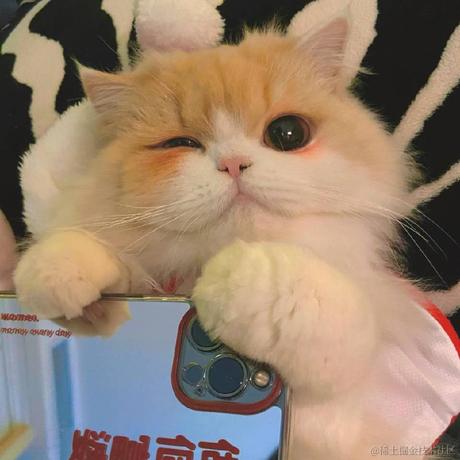 婉婉啊于2022-02-17 13:19发布的图片