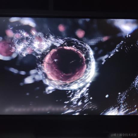 丁真顶碗人于2022-12-11 16:34发布的图片