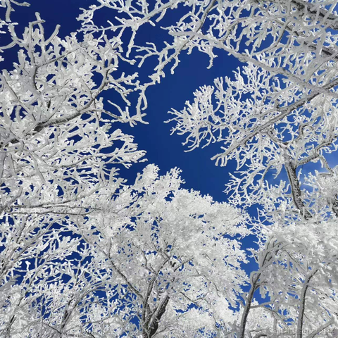 小旧_于2022-11-13 17:27发布的图片