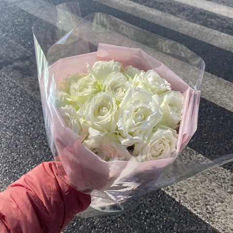 我是议员的爸爸于2022-12-02 10:39发布的图片