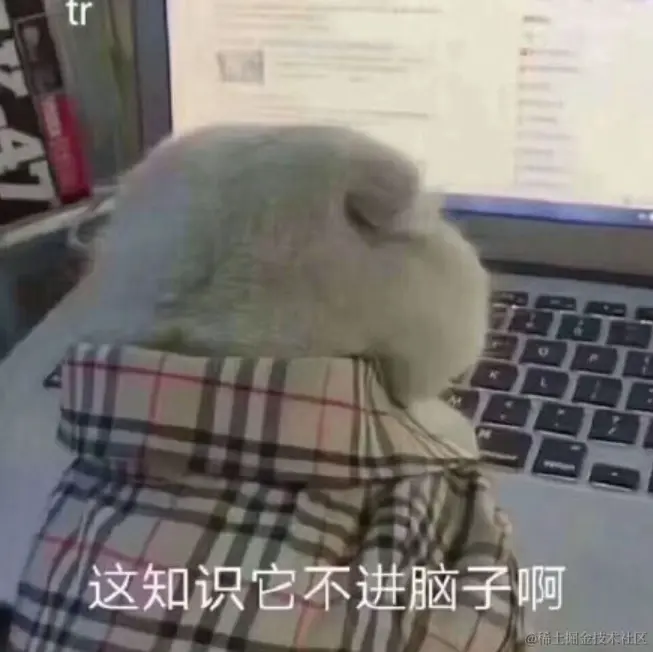 这知识它不进脑子.png