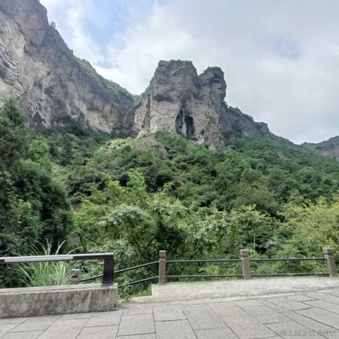 半亩花海于2023-08-13 19:58发布的图片