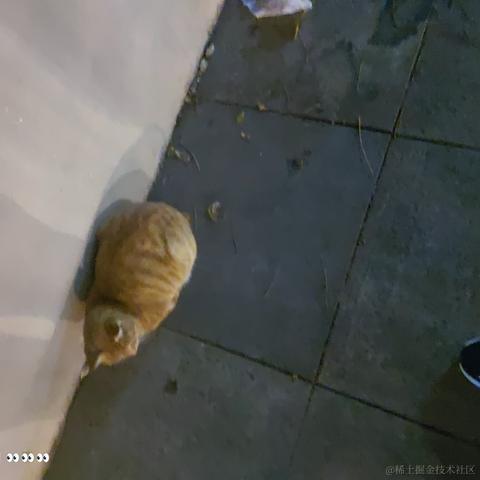 蹄蹄于2022-11-15 13:07发布的图片