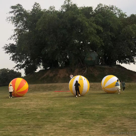 爱陶陶于2023-03-14 07:39发布的图片