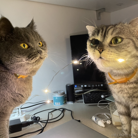StupidCat_W于2022-09-23 16:19发布的图片