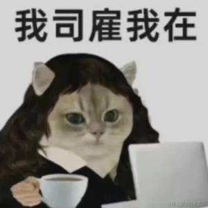 则则于2023-06-29 17:17发布的图片