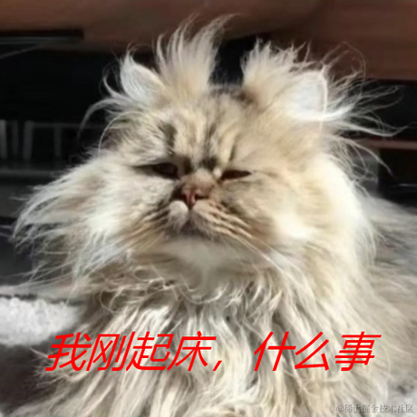 tigeriaf于2021-11-23 19:46发布的图片