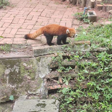 荒原挖不动于2023-07-06 23:25发布的图片