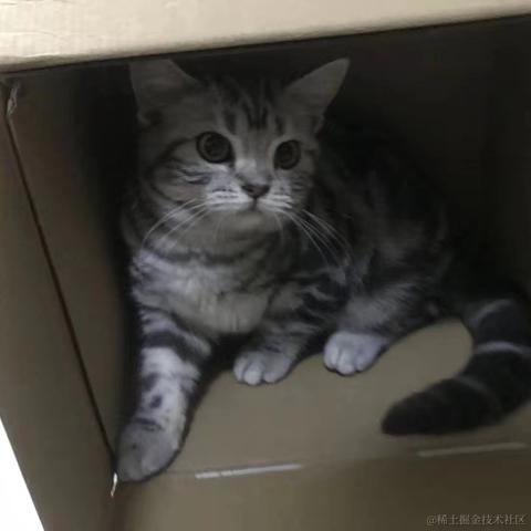 Emotion于2020-12-18 11:52发布的图片