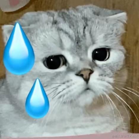 抖音开放平台于2021-10-28 14:21发布的图片