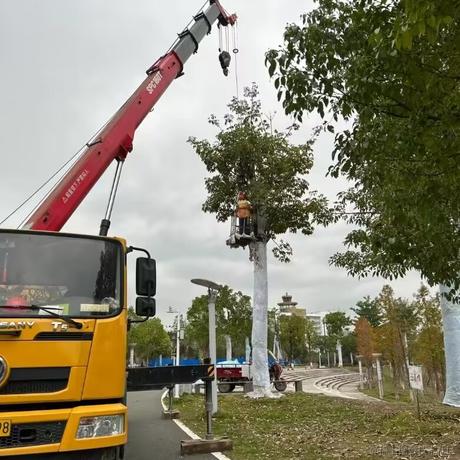 一口吃掉甜甜圈于2022-12-15 08:41发布的图片